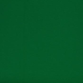 Preview: Swafing Vanessa Baumwoll Jersey Uni Grasgrün 365